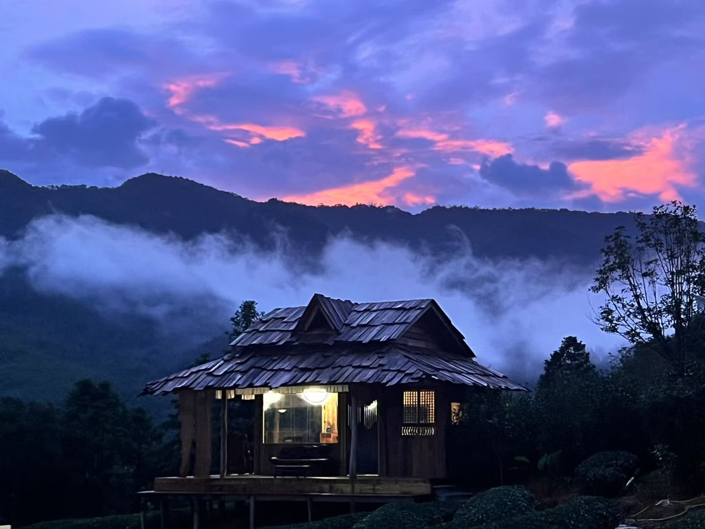 Chinese mountain tea landscape